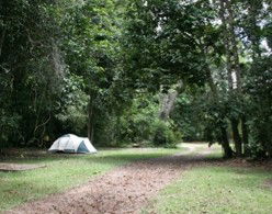 Kingfisher Park Birdwatchers Lodge - Darwin Holiday 5