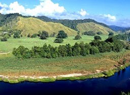 Tranquility On The Daintree - Darwin Holiday 2
