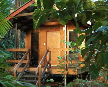 Cape Trib Beach House YHA - Darwin Holiday 4