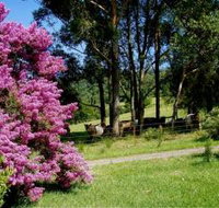 Figlea Cottages - Darwin Holiday