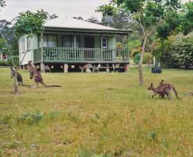 Berringer Lake Holiday Cottages - Darwin Holiday 0