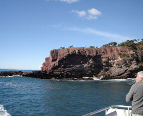 Art On Hart - Darwin Holiday 0