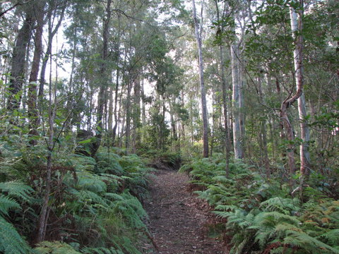 Maleny Country Cottages - Darwin Holiday 1