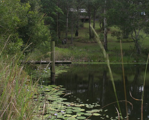 Maleny Country Cottages - Darwin Holiday 4