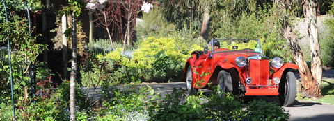 Wintarni Olives - Darwin Holiday 1