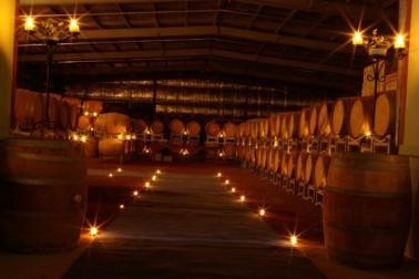 Warrenmang Vineyard & Resort - Darwin Holiday 5