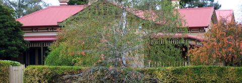 Silver Birch Bed & Breakfast - Darwin Holiday 4