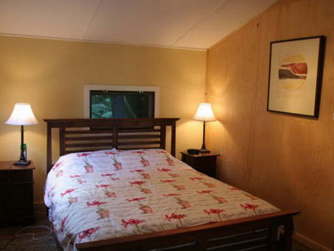 Tree Fern Lodge - Darwin Holiday 3