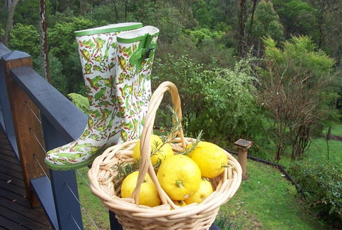 Bellbird Cottage Bed And Breakfast - Darwin Holiday 4