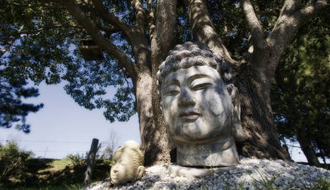 Banksia Garden Retreat - Darwin Holiday 1