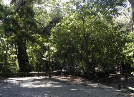 Booderee National Park: Green Patch Camping Area - Darwin Holiday 0