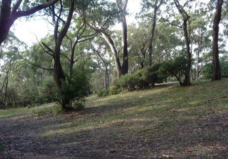 Booderee National Park: Green Patch Camping Area - Darwin Holiday 3
