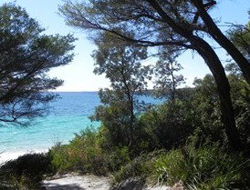 Booderee National Park: Bristol Point Camping Area - Darwin Holiday 2