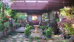 Blossoms Bed And Breakfast - Darwin Holiday 0