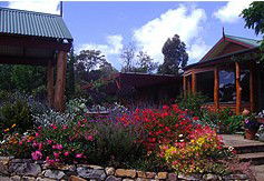 Blossoms Bed And Breakfast - Darwin Holiday 2
