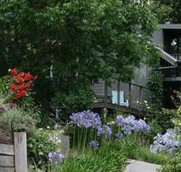 Cloudsong in Kangaroo Valley - Darwin Holiday