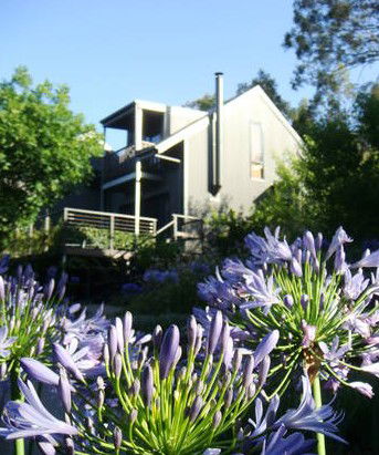 Cloudsong In Kangaroo Valley - Darwin Holiday 2