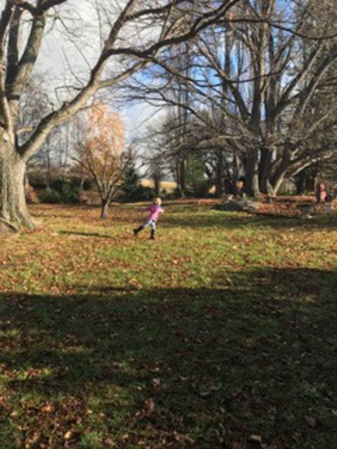 Glenelm Guest Cottage - Darwin Holiday 2