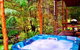 A Waterfall Hideout-Rainforest Cabin For Couples - thumb 5
