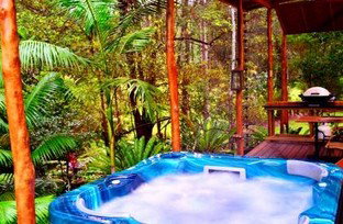 A Waterfall Hideout-Rainforest Cabin For Couples - Darwin Holiday 5