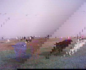 Seelands NSW Darwin Holiday