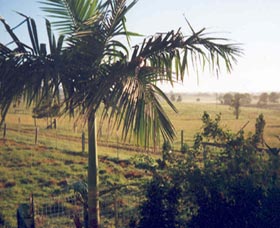 Seeview Farmstay - Darwin Holiday 1