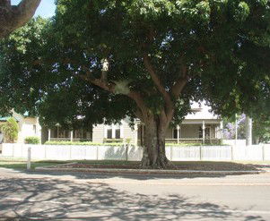 Annies Bed And Breakfast Grafton - Darwin Holiday 3