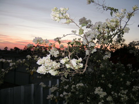 Sonjas Bed And Breakfast - Darwin Holiday 2