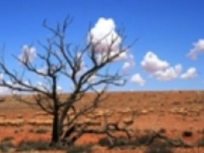 Theldarpa Stationstay - Darwin Holiday 1