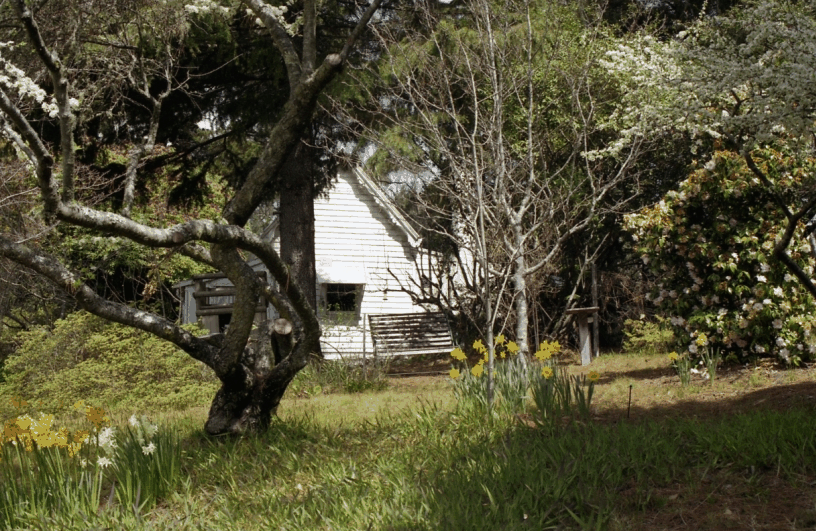 Avoca Cottage - Darwin Holiday 3