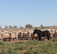 Pimpara Lake StationStay