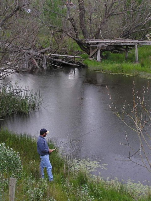 Bombala Caravan Park - Darwin Holiday 1