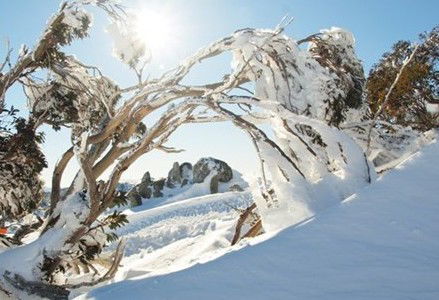 Stillwell Lodge - Darwin Holiday 1