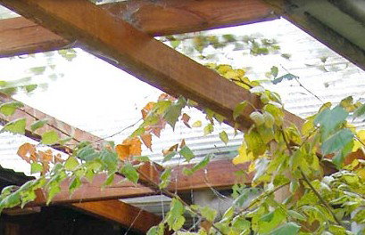 Cooma Bunkhouse Motel - Darwin Holiday 2