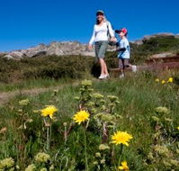 Horizons Apartment 407 - Darwin Holiday