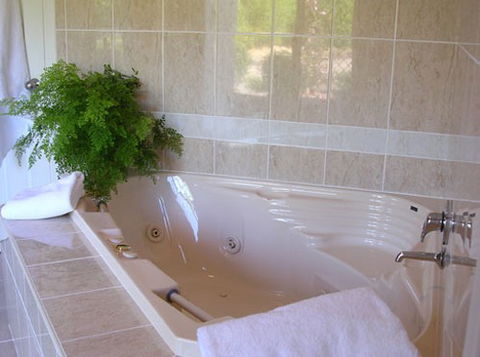 Mescals At Pampoolah Bed And Breakfast - Darwin Holiday 1