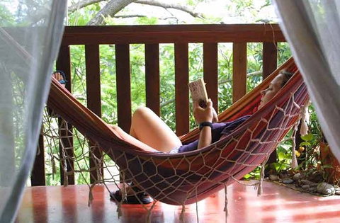 Bellingen YHA - Darwin Holiday 1