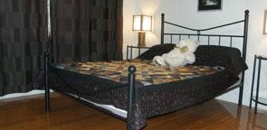 Artisans ...on The Hill Bed And Breakfast - Darwin Holiday 2