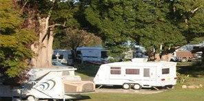 Bellinger River Tourist Park - Darwin Holiday 3