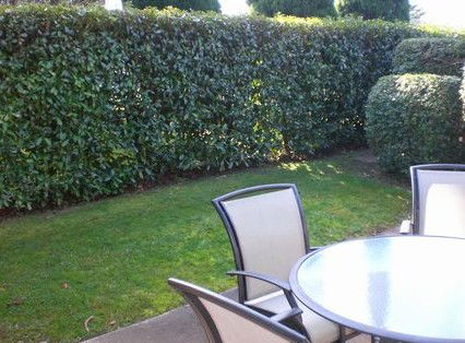 Boronia Lodge Apartments - Darwin Holiday 3