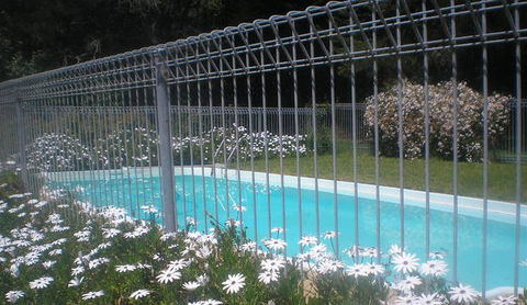 Cedargreen - Darwin Holiday 1