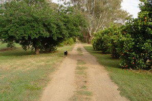 Murray Bank Holiday Units And Yabby Farm - Darwin Holiday 5