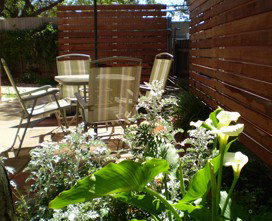 Stable At Riesling - Darwin Holiday 1