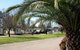 Leeton Caravan Park - thumb 1