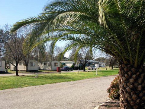 Leeton Caravan Park - Darwin Holiday 1