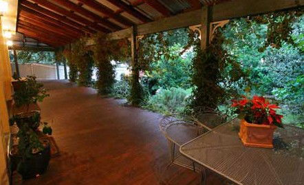 Ms. - Darwin Holiday 0