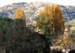 Nundle NSW Darwin Holiday