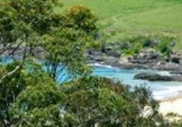 Aqua Bamboo - Darwin Holiday 0