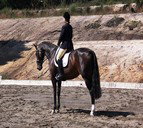 Apptrak Stud - Darwin Holiday 0