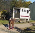 Apptrak Stud - Darwin Holiday 1